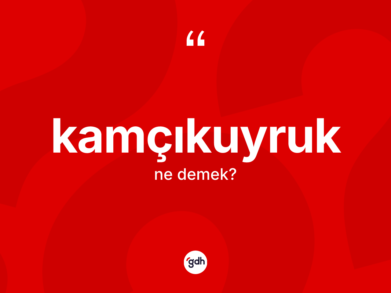 Kamçıkuyruk kelimesinin anlamı nedir? Kamçıkuyruğun sözlükteki anlamı nedir?