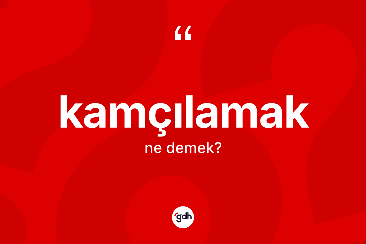 Kamçılamak kelimesi ne anlama gelir?