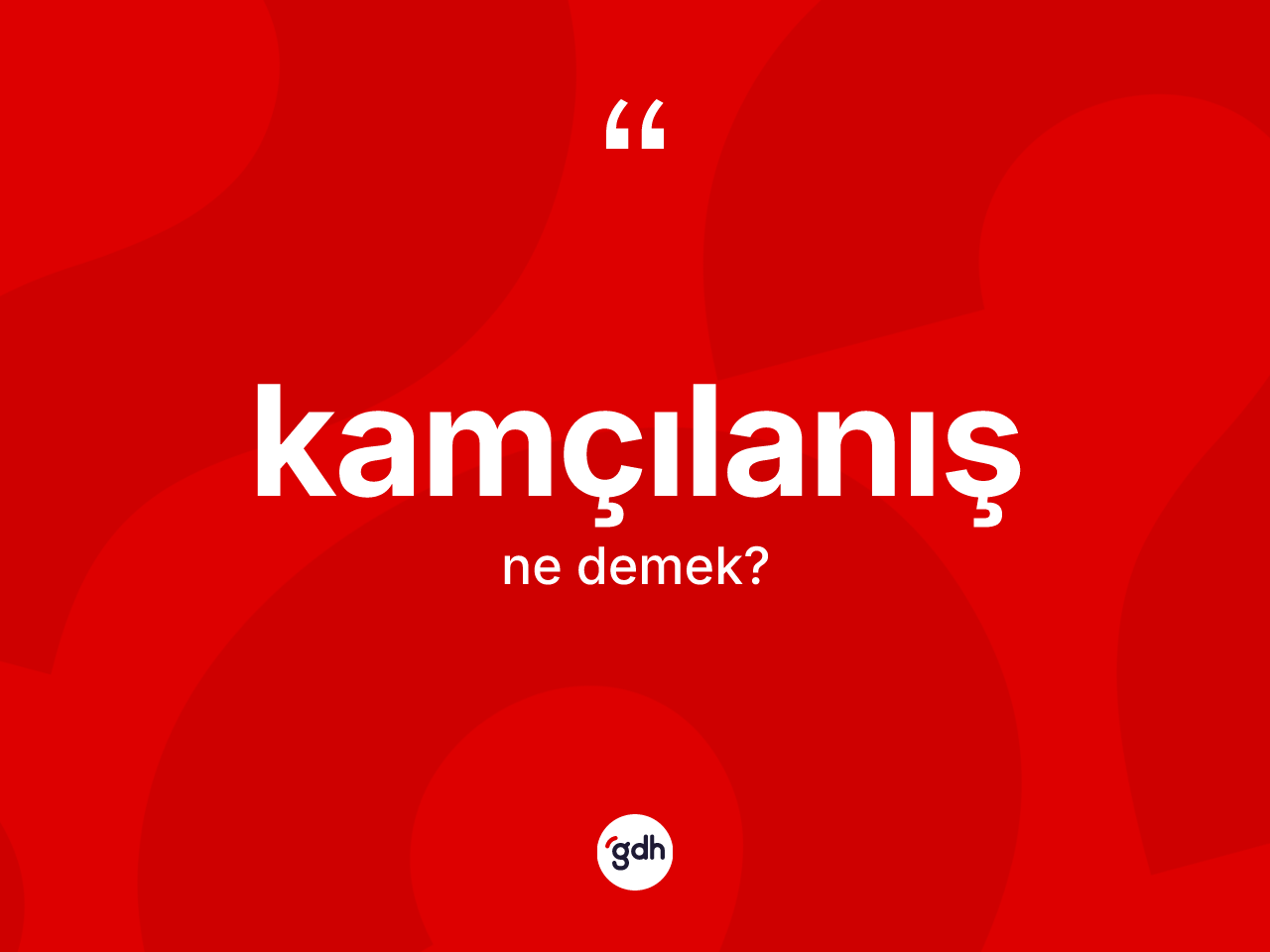 Kamçılanış kelimesinin anlamı nedir? Kamçılanışın TDK'ya göre anlamı nedir?