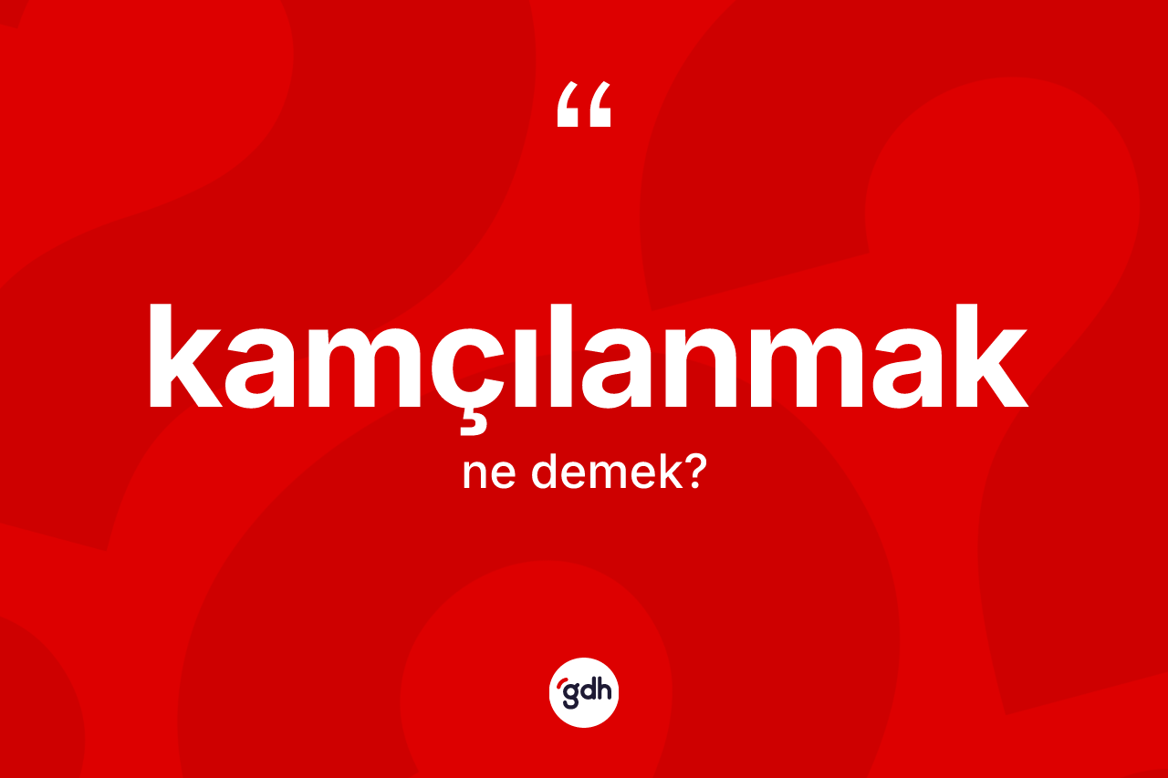 Kamçılanmak kelimesinin anlamı nedir?