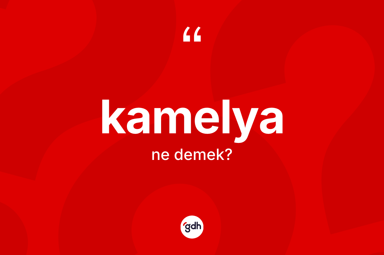 Kamelya kelimesinin sözlükteki tanımı nedir?