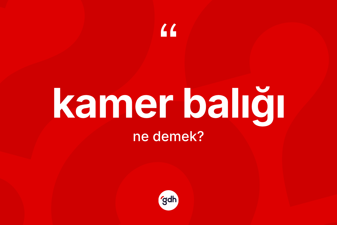 Kamer balığı kelimesinin sözlükteki tanımı nedir? Kamer balığı kelimesinin kaç farklı anlamı var?