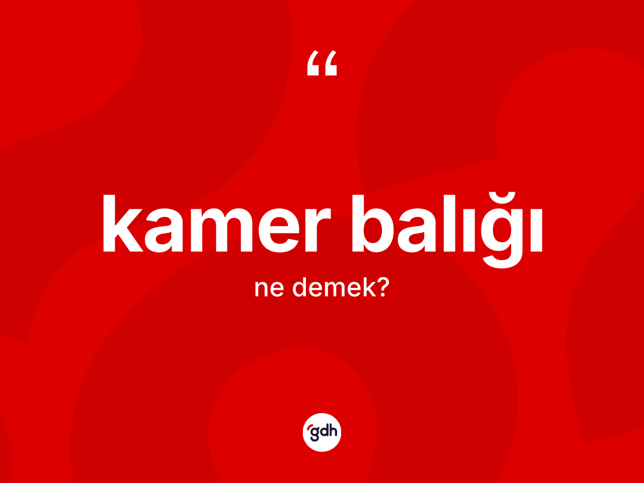 Kamer balığı kelimesinin sözlükteki tanımı nedir? Kamer balığı kelimesinin kaç farklı anlamı var?
