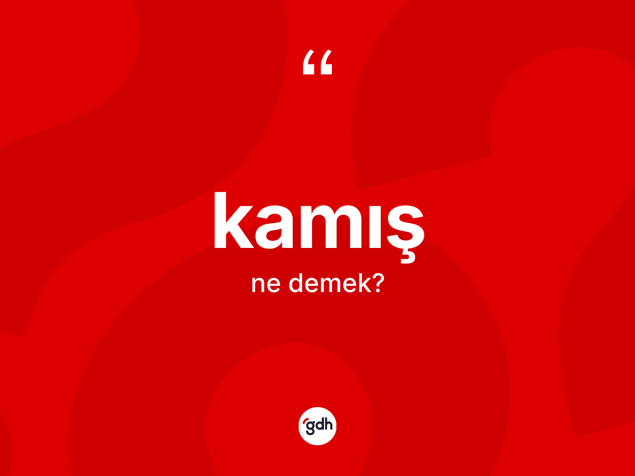 Kamış kelimesinin anlamı nedir? Kamış kelimesinin TDK anlamı nedir?
