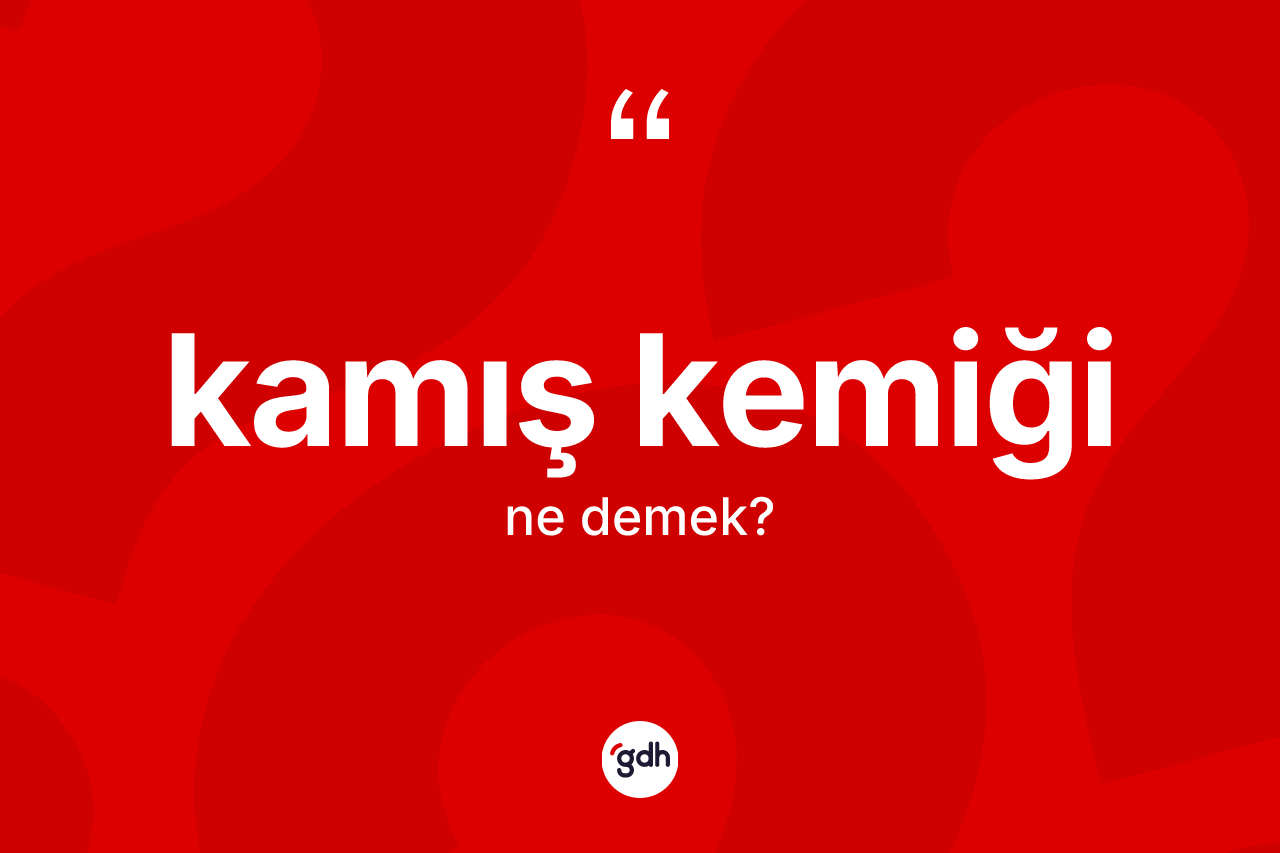 Kamış kemiği ne anlama gelir? Kamış kemiği kelimesinin kaç farklı anlamı var?