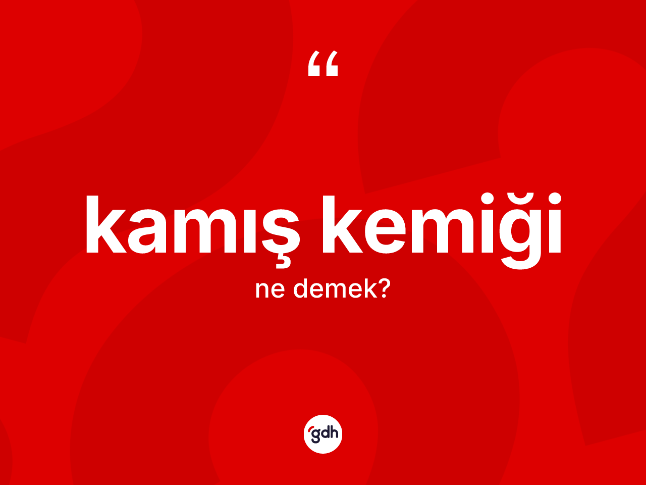 Kamış kemiği ne anlama gelir? Kamış kemiği kelimesinin kaç farklı anlamı var?