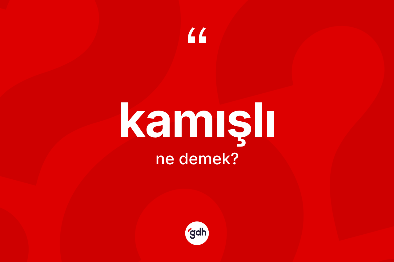 Kamışlı ne anlama gelir? Kamışlının TDK'ya göre anlamı nedir?