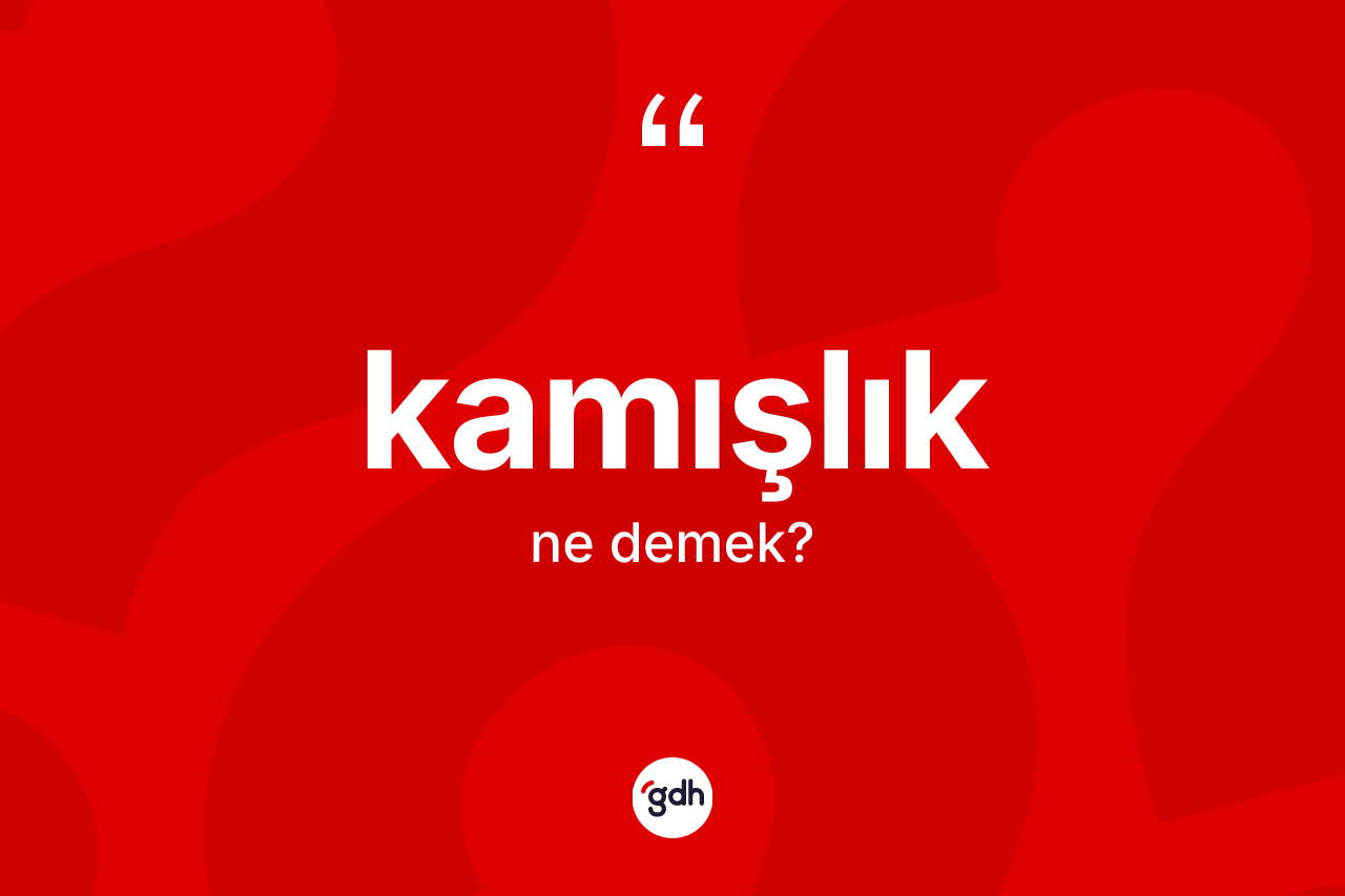 Kamışlık kelimesinin anlamı nedir? Kamışlığın TDK'ya göre anlamı nedir?