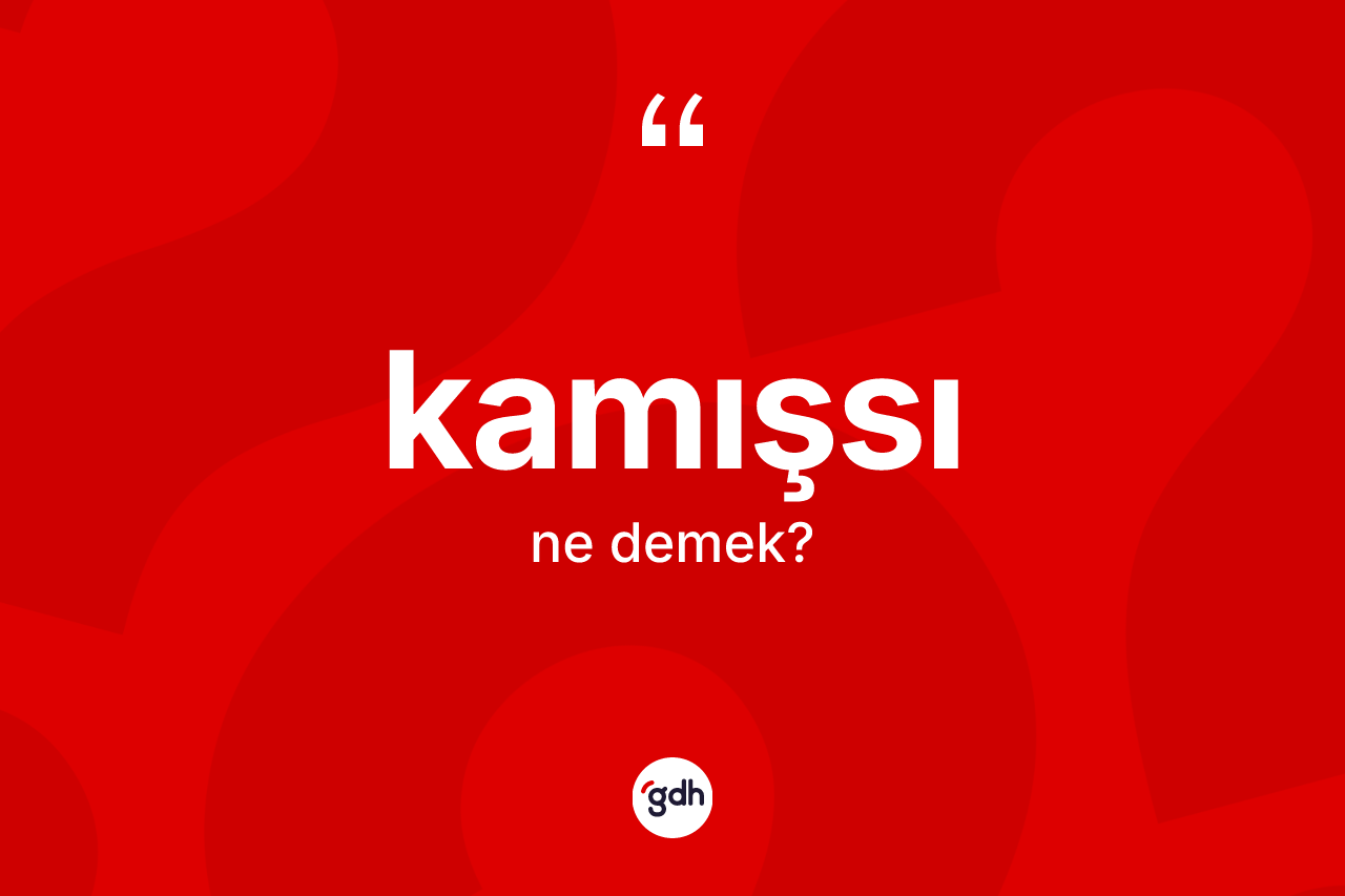 Kamışsı ne demek? Kamışsının TDK'ya göre anlamı nedir?