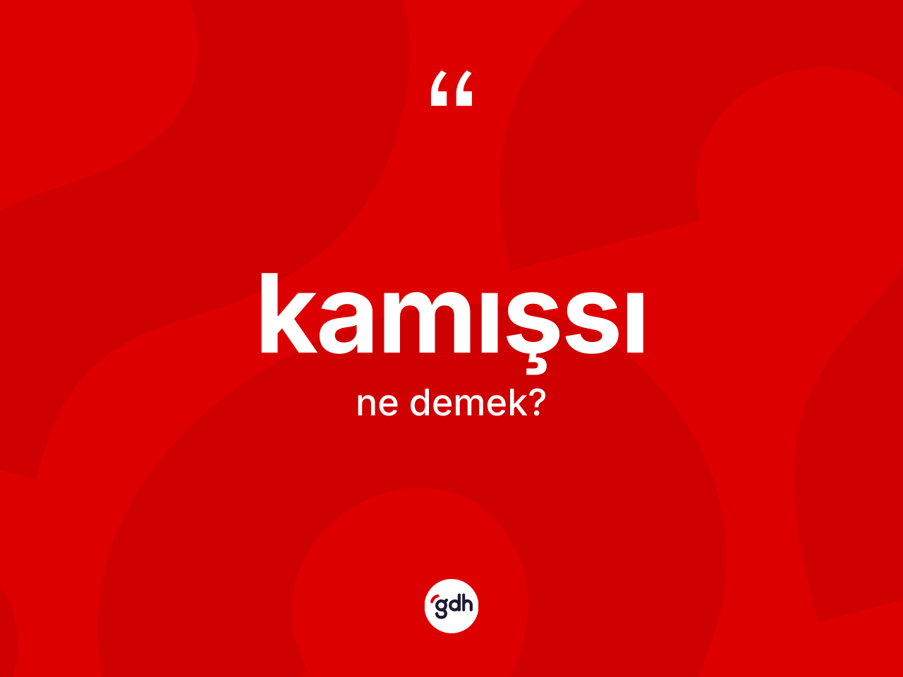 Kamışsı ne demek? Kamışsının TDK'ya göre anlamı nedir?