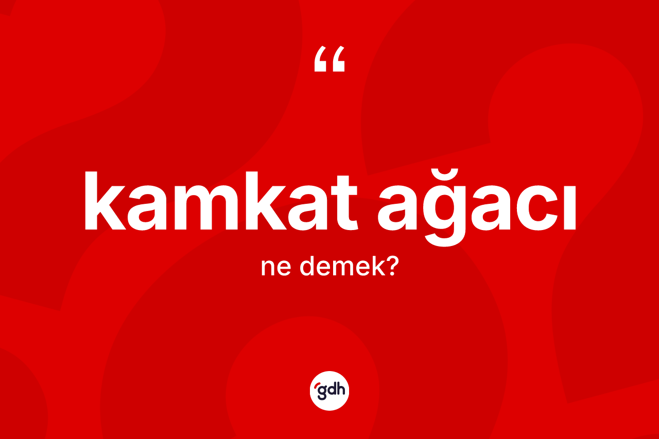 Kamkat ağacı kelimesinin sözlükteki tanımı nedir?