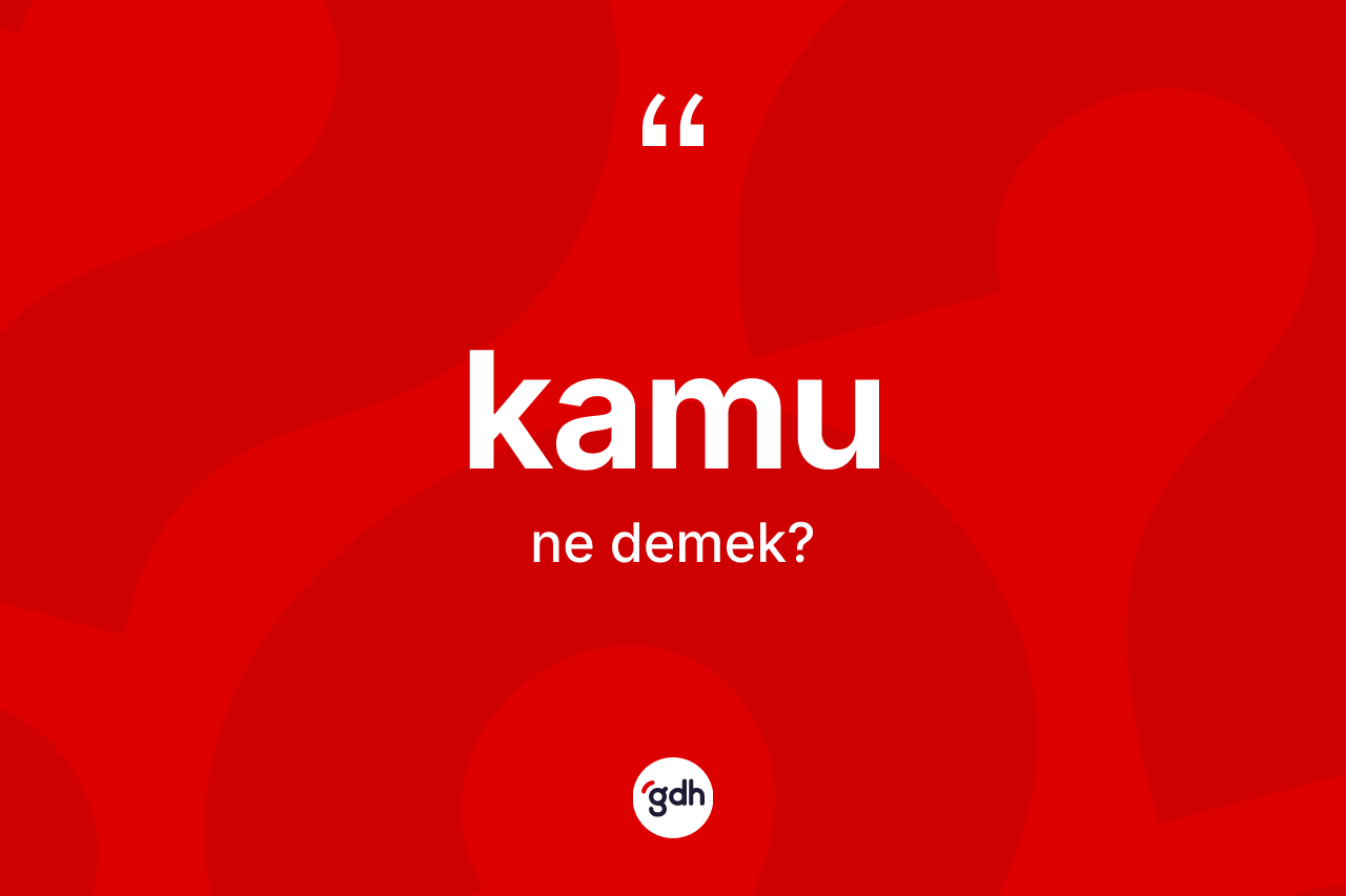 Kamu kelimesinin sözlükteki tanımı nedir? Kamunun TDK'ya göre anlamı nedir?