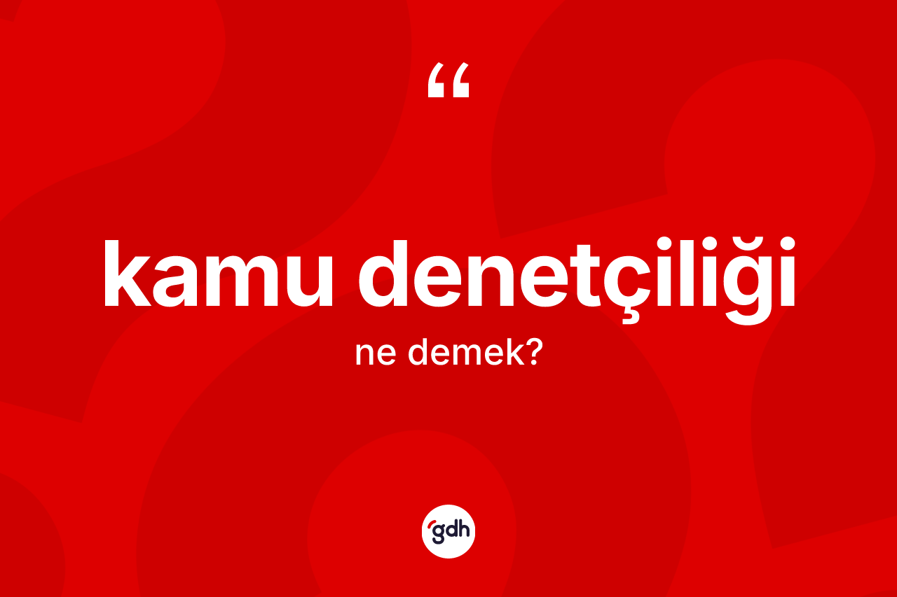 Kamu denetçiliği kelimesinin anlamı nedir? Kamu denetçiliğinin TDK'ya göre anlamı nedir?