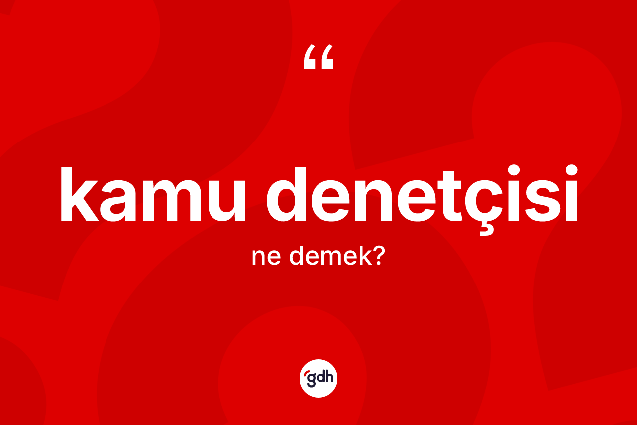 Kamu denetçisi ne demek? Kamu denetçisinin sözlükteki anlamı nedir?