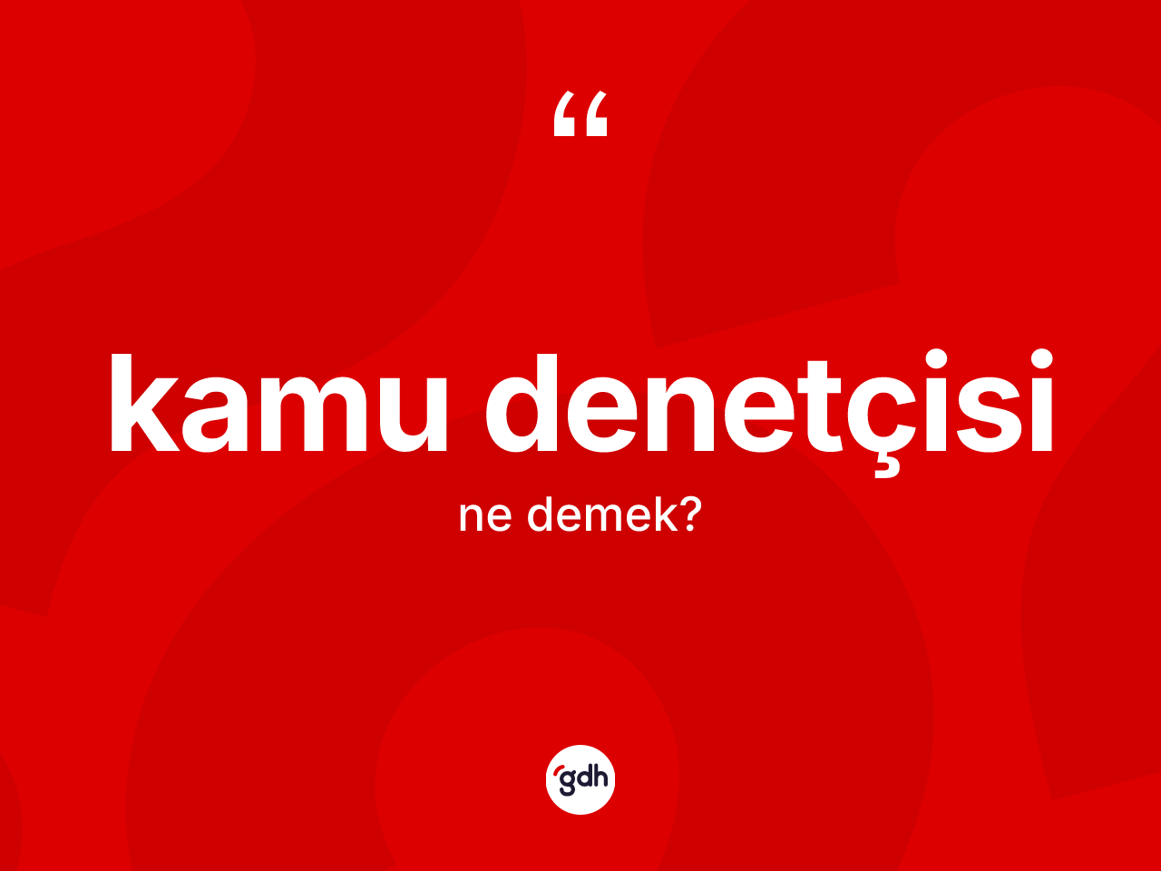 Kamu denetçisi ne demek? Kamu denetçisinin sözlükteki anlamı nedir?