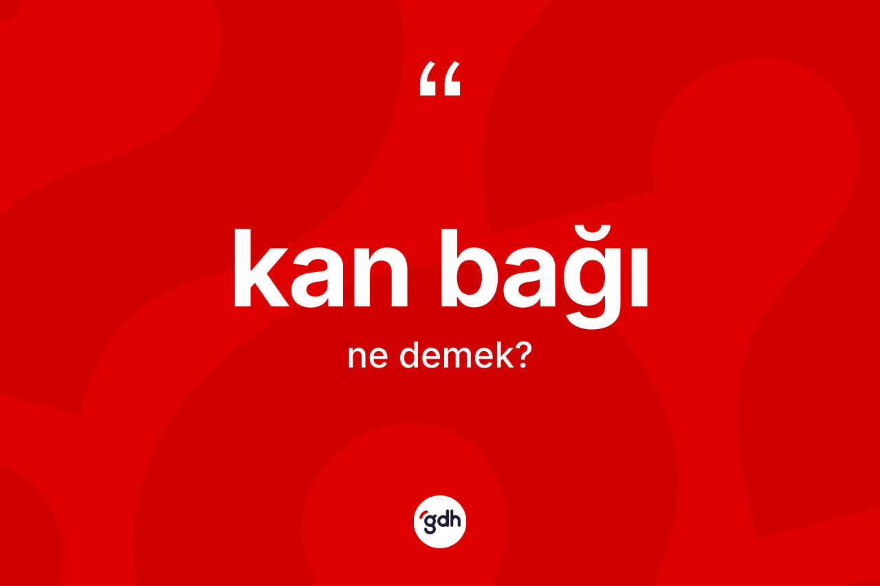 Kan bağı kelimesinin sözlükteki tanımı nedir? Kan bağı kelimesinin özellikleri nelerdir?