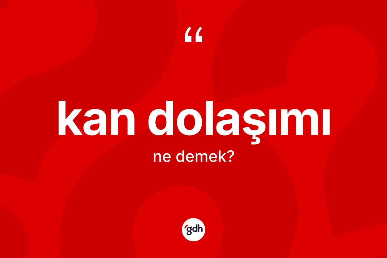 Kan dolaşımı kelimesi ne anlama gelir?