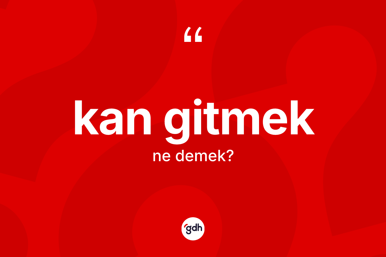 Kan gitmek ifadesinin kısaca anlamı nedir? Kan gitmek ifadesinin TDK'ya göre açıklaması nedir?