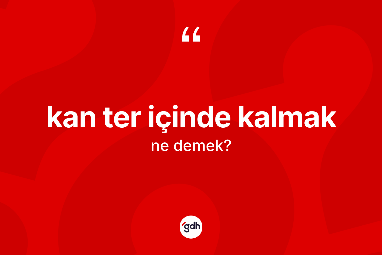 Kan ter içinde kalmak ifadesinin kısaca anlamı nedir? Kan ter içinde kalmak ifadesinin TDK'ya göre açıklaması nedir?