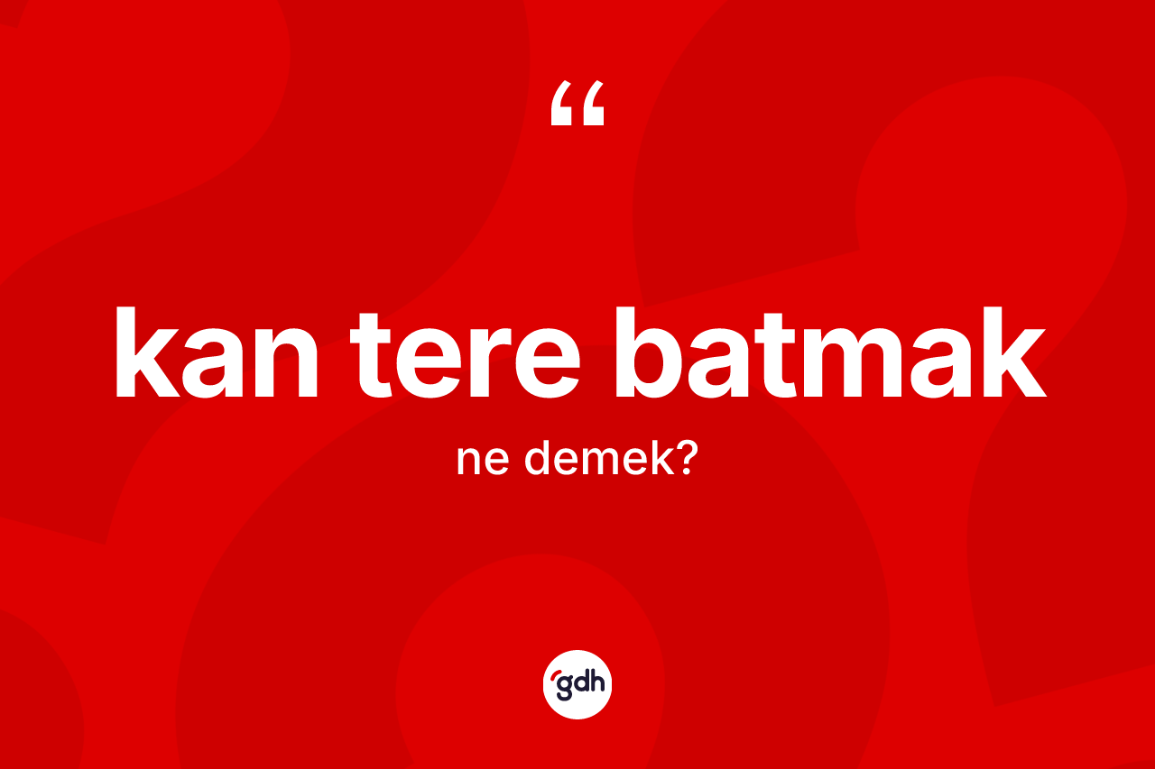 Kan tere batmak sözü neyi anlatır? Kan tere batmak sözünün TDK tanımı nedir?