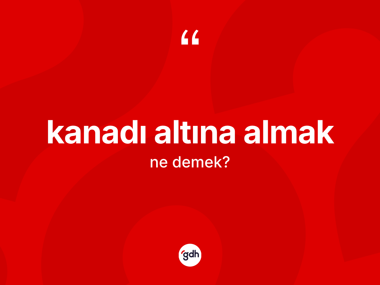Kanadı altına almak ifadesi neyi anlatır? Kanadı altına almak ifadesinin TDK'ya göre açıklaması nedir?