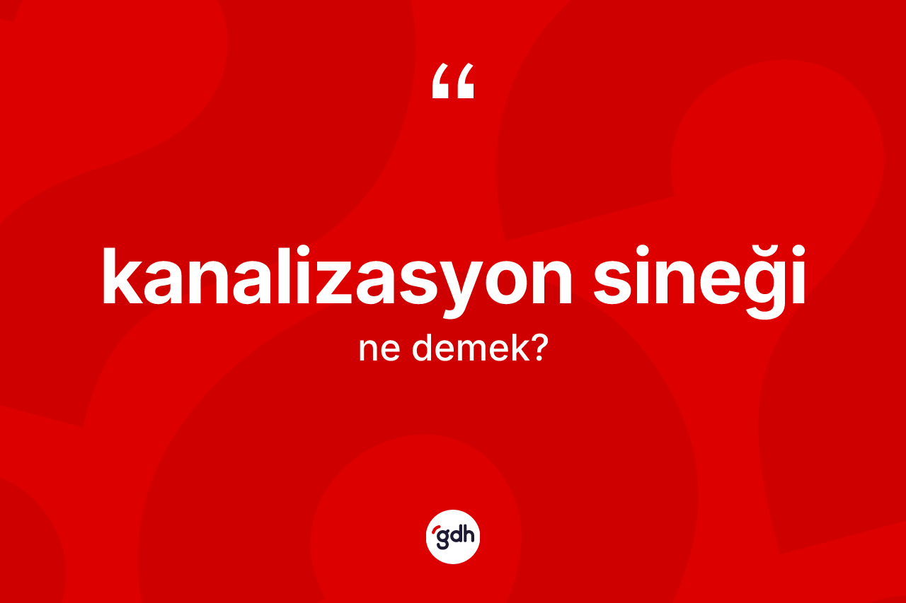 Kanalizasyon sineği  kelimesinin tanımı nedir?