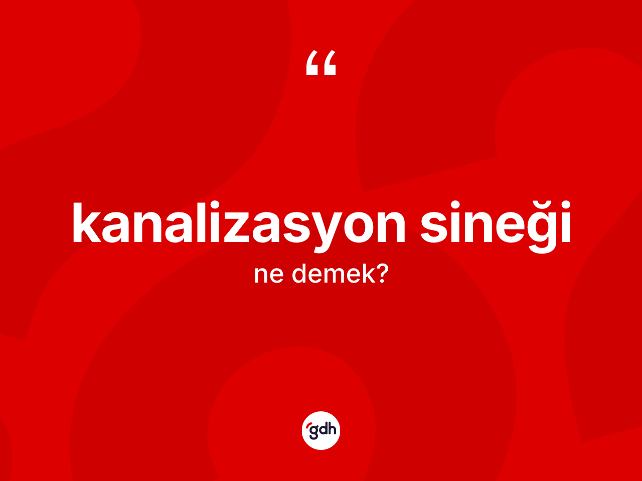 Kanalizasyon sineği  kelimesinin tanımı nedir? Kanalizasyon sineği  kelimesinin özellikleri nelerdir?