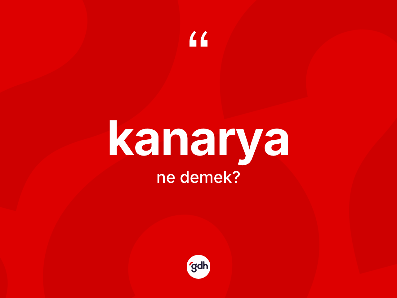 Kanarya kelimesi ne anlama gelir? Kanarya kelimesinin özellikleri nelerdir?