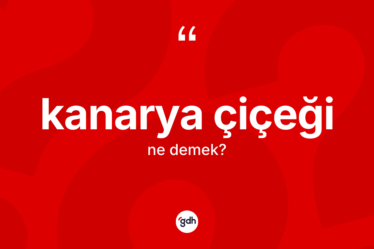 Kanarya çiçeği kelimesinin sözlükteki tanımı nedir? Kanarya çiçeğinin TDK'ya göre anlamı nedir?
