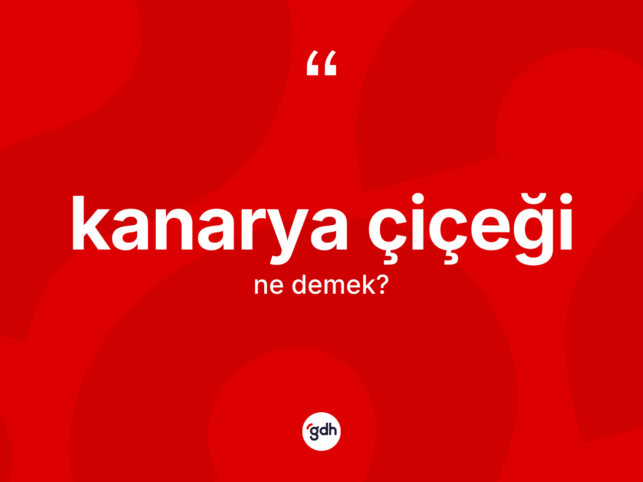 Kanarya çiçeği kelimesinin sözlükteki tanımı nedir? Kanarya çiçeğinin TDK'ya göre anlamı nedir?