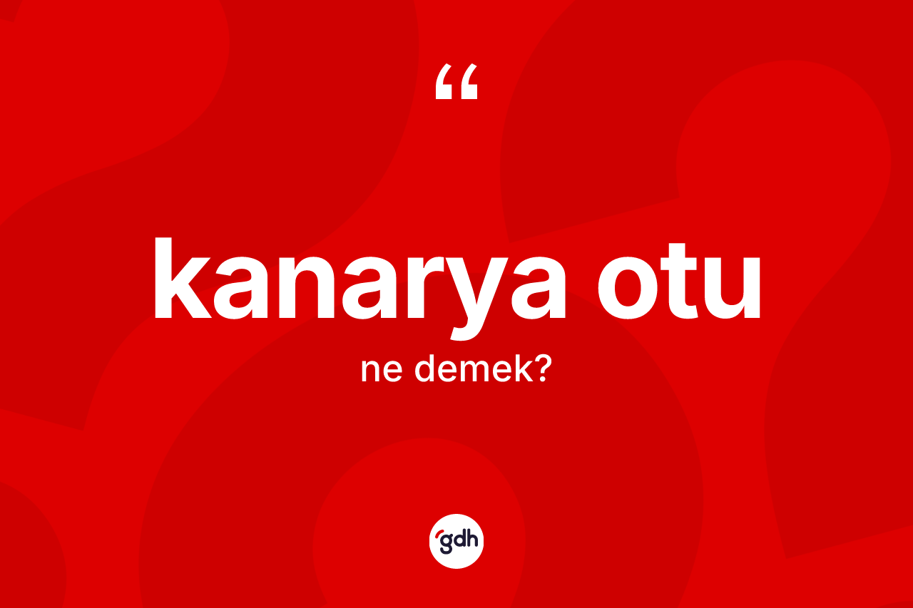 Kanarya otu kelimesi ne anlama gelir? Kanarya otu kelimesinin kaç farklı anlamı var?