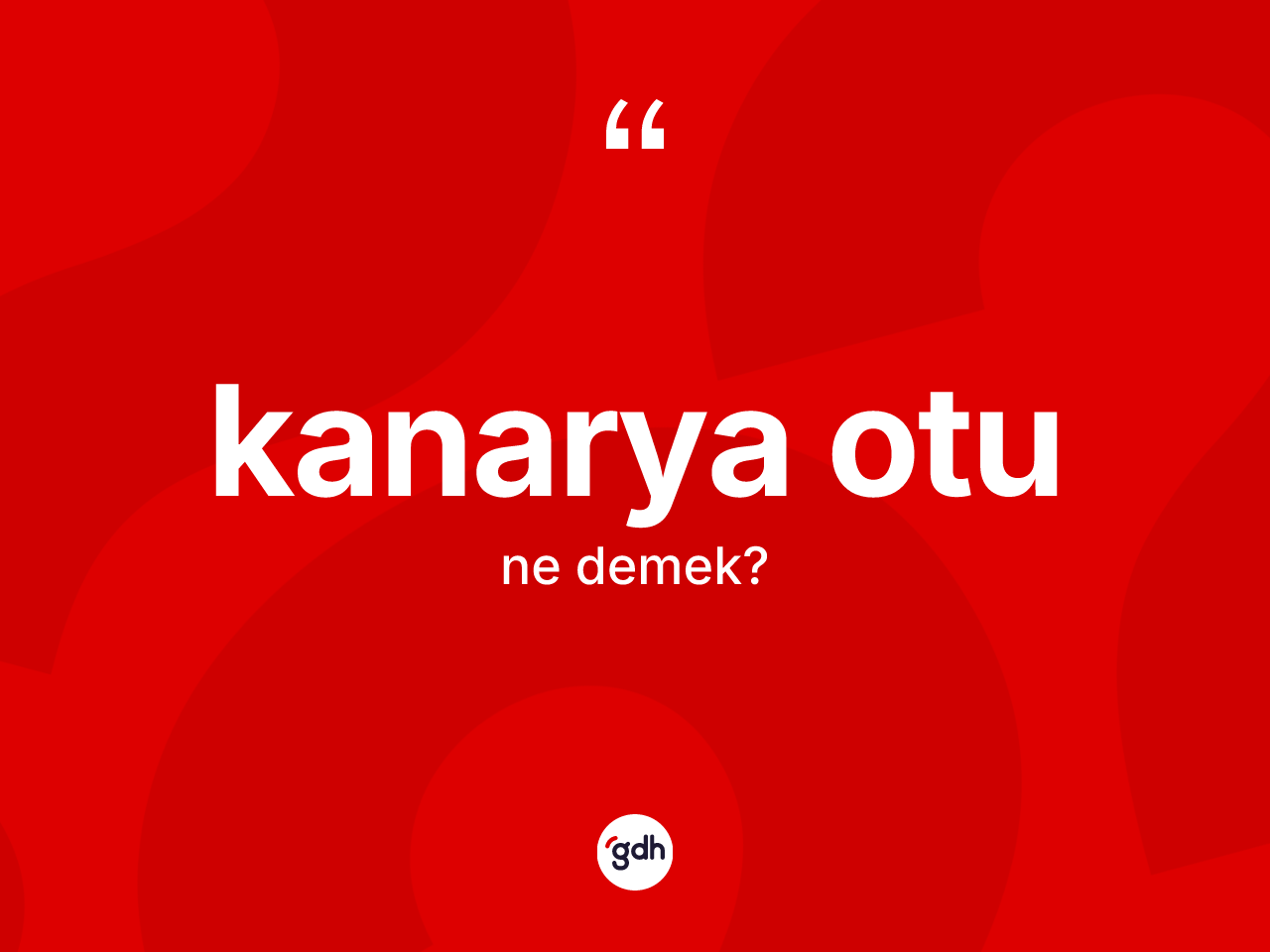 Kanarya otu kelimesi ne anlama gelir? Kanarya otu kelimesinin kaç farklı anlamı var?