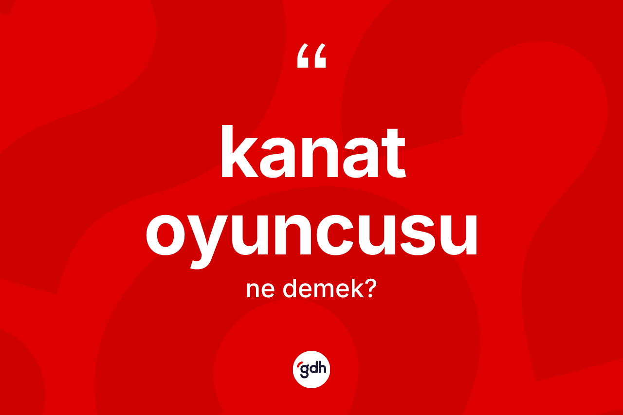 Kanat oyuncusu  kelimesinin anlamı nedir? Kanat oyuncusu  kelimesinin kaç farklı anlamı var?