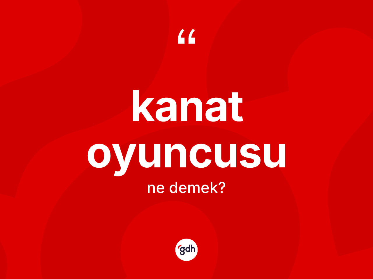 Kanat oyuncusu  kelimesinin anlamı nedir? Kanat oyuncusu  kelimesinin kaç farklı anlamı var?