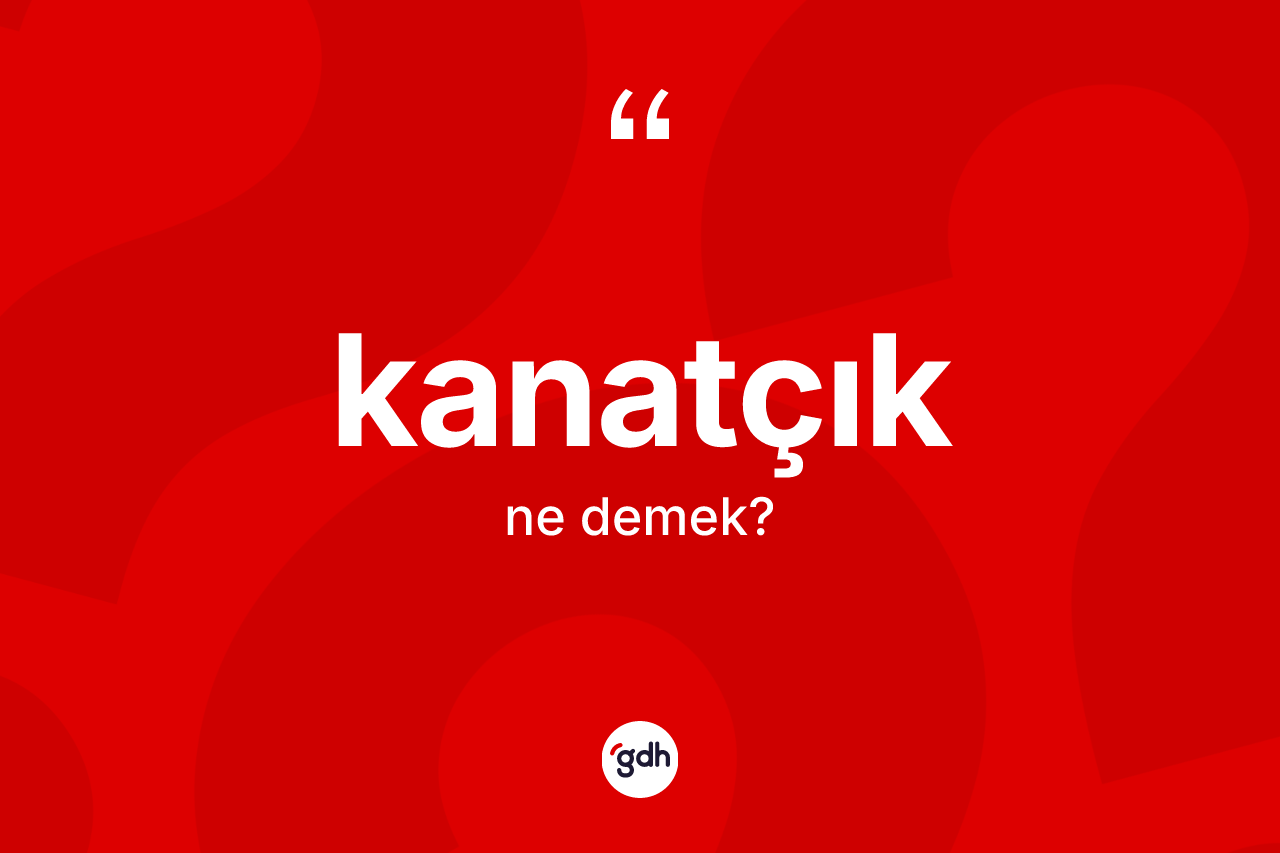 Kanatçık kelimesinin tanımı nedir? Kanatçığın TDK'ya göre anlamı nedir?