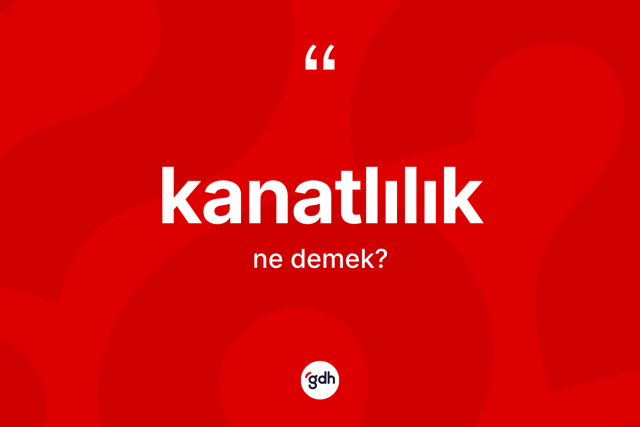 Kanatlılık kelimesinin anlamı nedir? Kanatlılığın TDK'ya göre anlamı nedir?