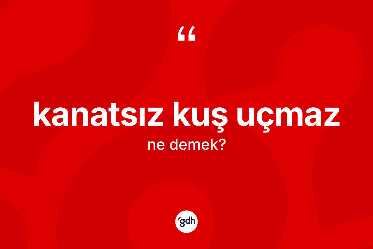Kanatsız kuş uçmaz ifadesinin kısaca tanımı nedir? Kanatsız kuş uçmaz ifadesinin TDK açıklaması nedir?
