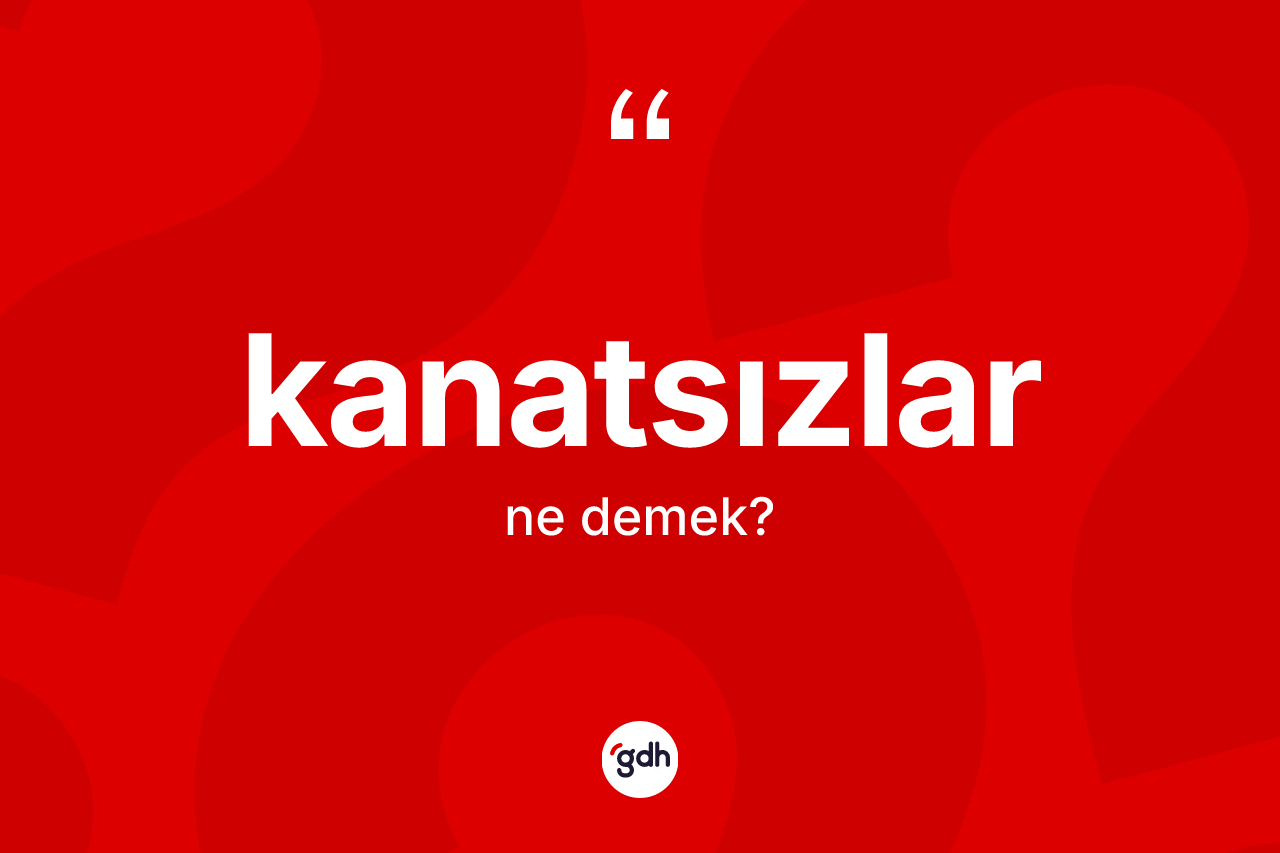 Kanatsızlar kelimesinin tanımı nedir? Kanatsızlar kelimesinin TDK'ya göre açıklaması nedir?