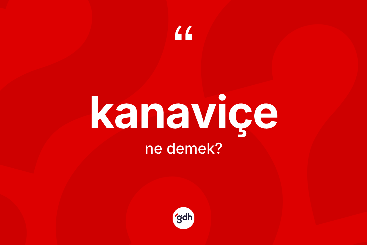 Kanaviçe nedir? Kanaviçenin TDK'ya göre anlamı nedir?