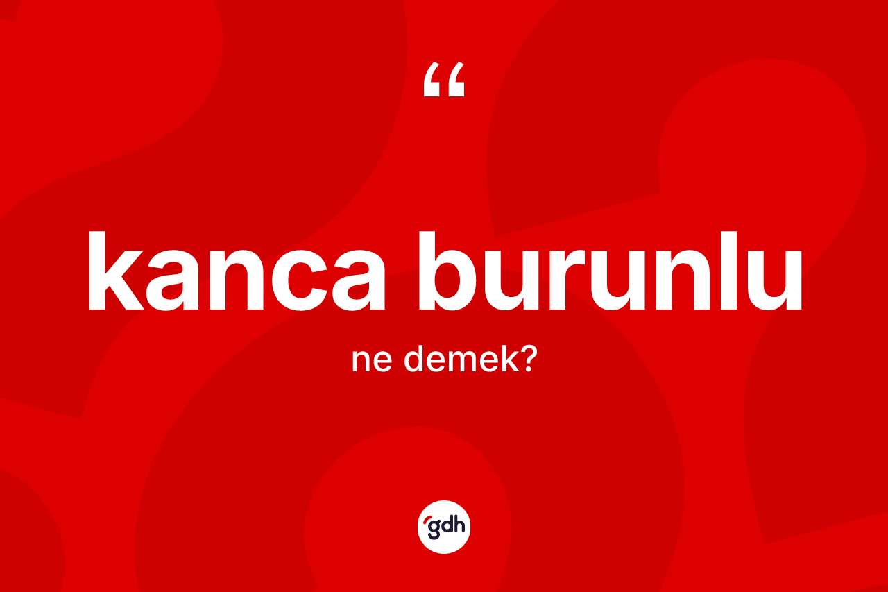 Kanca burunlu kelimesinin anlamı nedir? Kanca burunlunun TDK'ya göre anlamı nedir?