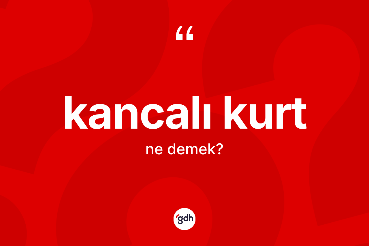 Kancalı kurt kelimesi ne anlama gelir? Kancalı kurt kelimesinin TDK'ya göre açıklaması nedir?