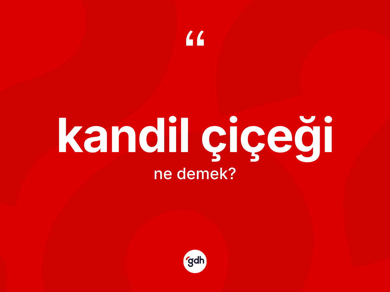 Kandil çiçeği kelimesinin sözlükteki tanımı nedir? Kandil çiçeğinin TDK'ya göre anlamı nedir?