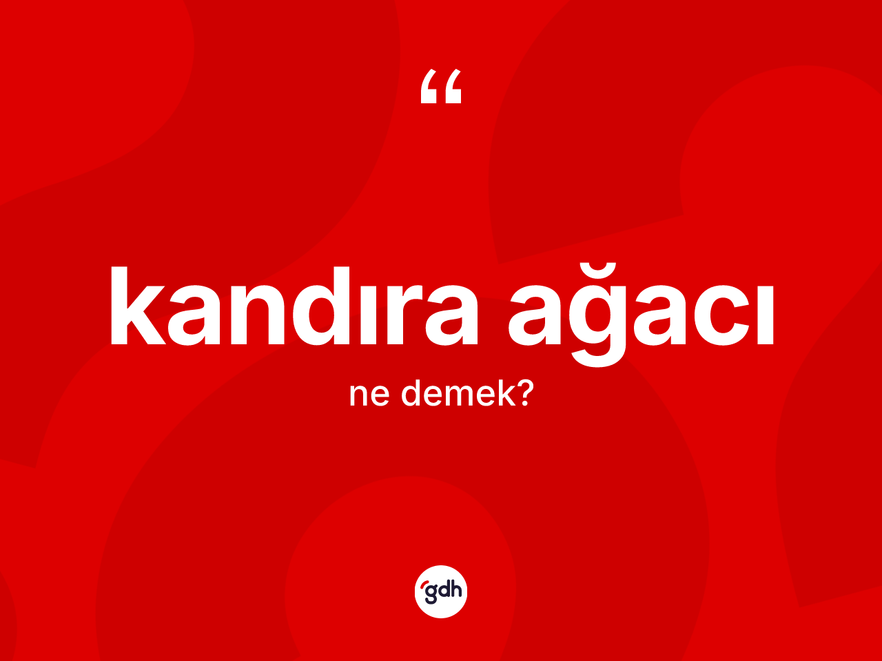 Kandıra ağacı kelimesi ne anlama gelir? Kandıra ağacının TDK'ya göre anlamı nedir?