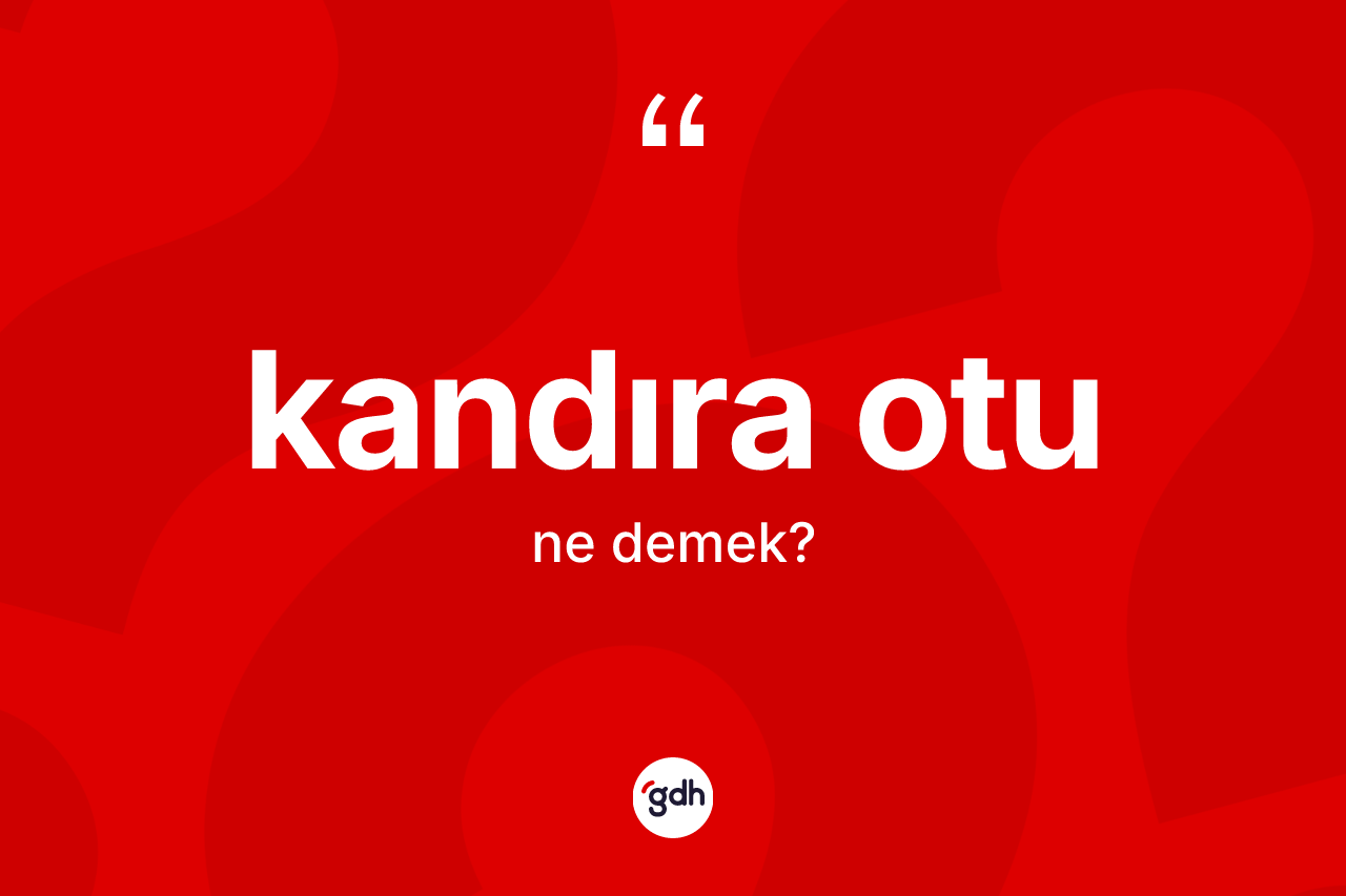 Kandıra otu kelimesinin tanımı nedir? Kandıra otunun TDK'ya göre anlamı nedir?