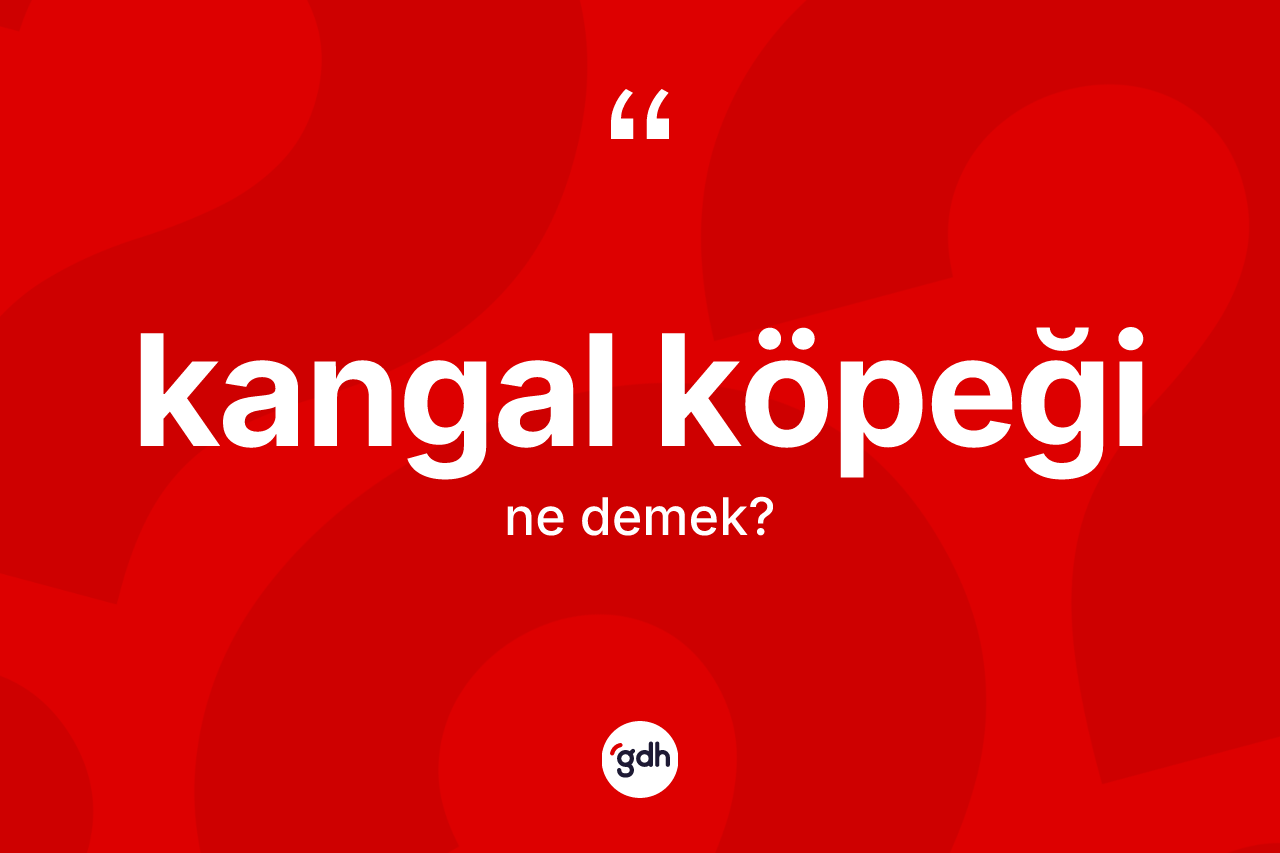 Kangal köpeği nedir? Kangal köpeği kelimesinin TDK'ya göre açıklaması nedir?