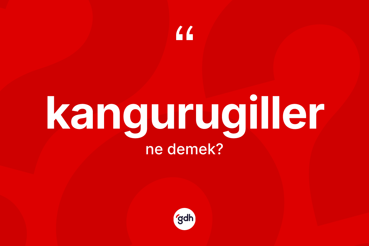 Kangurugiller nedir? Kangurugiller kelimesinin TDK'ya göre açıklaması nedir?