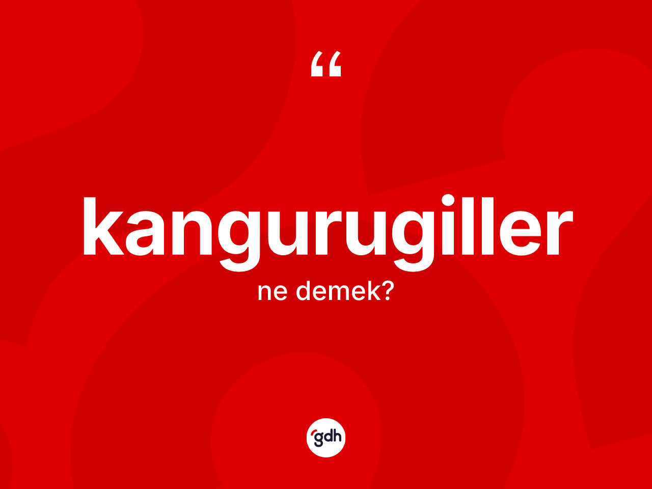 Kangurugiller nedir? Kangurugiller kelimesinin TDK'ya göre açıklaması nedir?