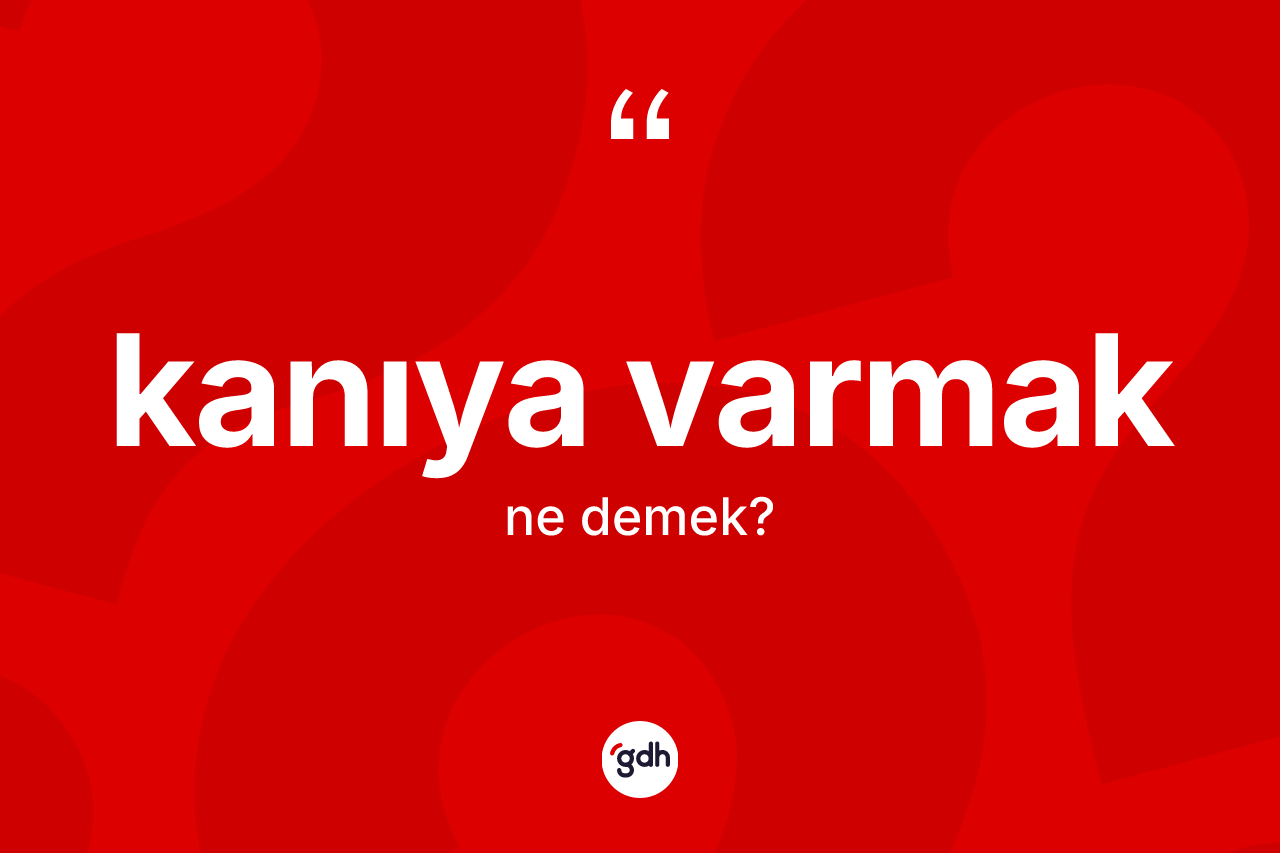 Kanıya varmak ifadesinin anlamı nedir? Kanıya varmak ifadesi nerede kullanılır?