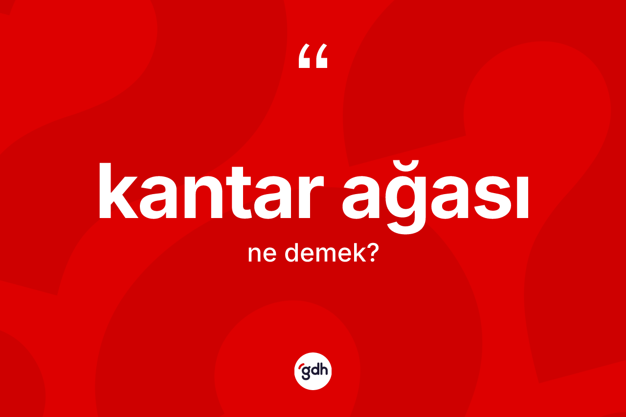 Kantar ağası kelimesi ne anlama gelir? Kantar ağası kelimesinin kaç farklı anlamı var?