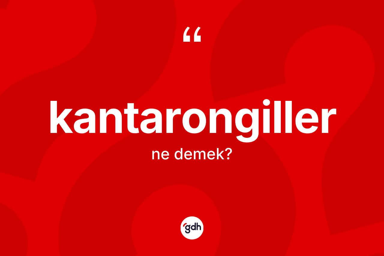 Kantarongiller kelimesinin anlamı nedir? Kantarongiller kelimesinin TDK anlamı nedir?